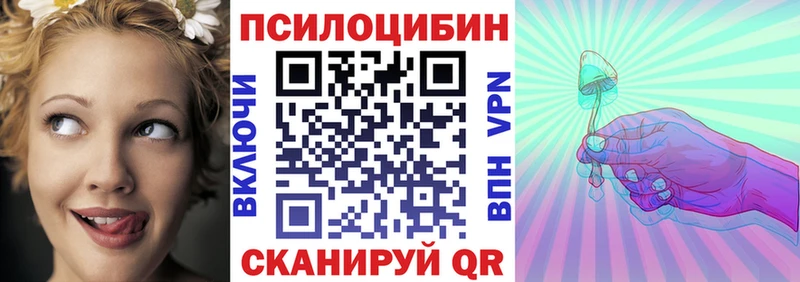 darknet клад  ОМГ ОМГ зеркало  Дальнереченск  купить закладку  Галлюциногенные грибы мухоморы 
